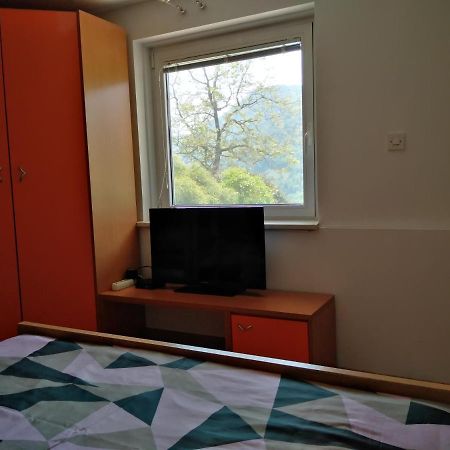 Apartment Zadraga Tolmin Bagian luar foto