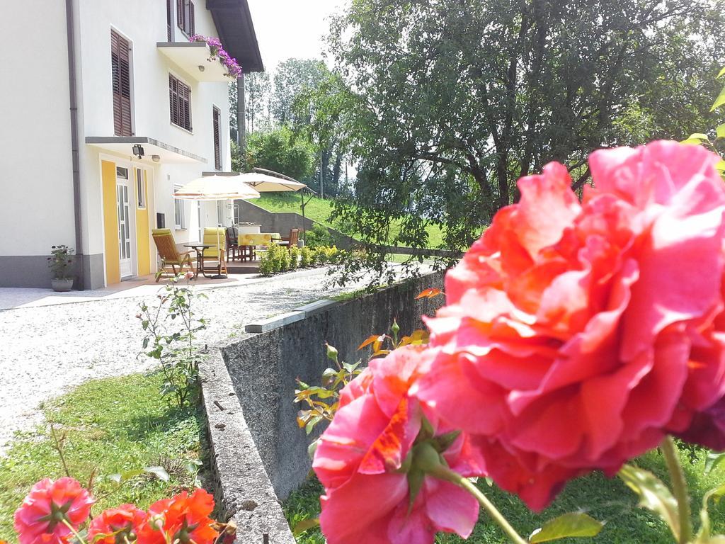 Apartment Zadraga Tolmin Bagian luar foto